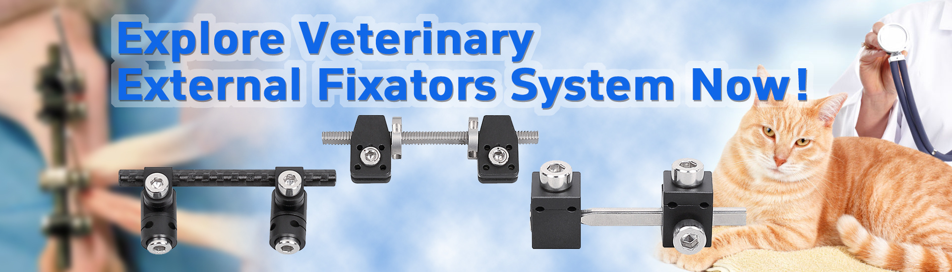 External Fixation