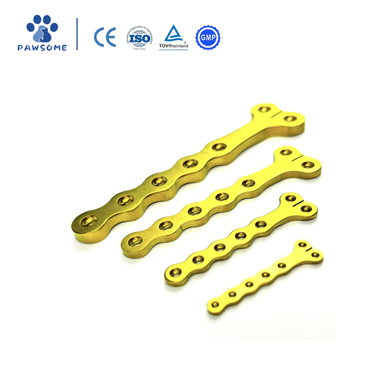 Veterinary Orthopedic Implants Trauma T Locking Pl01.jpg