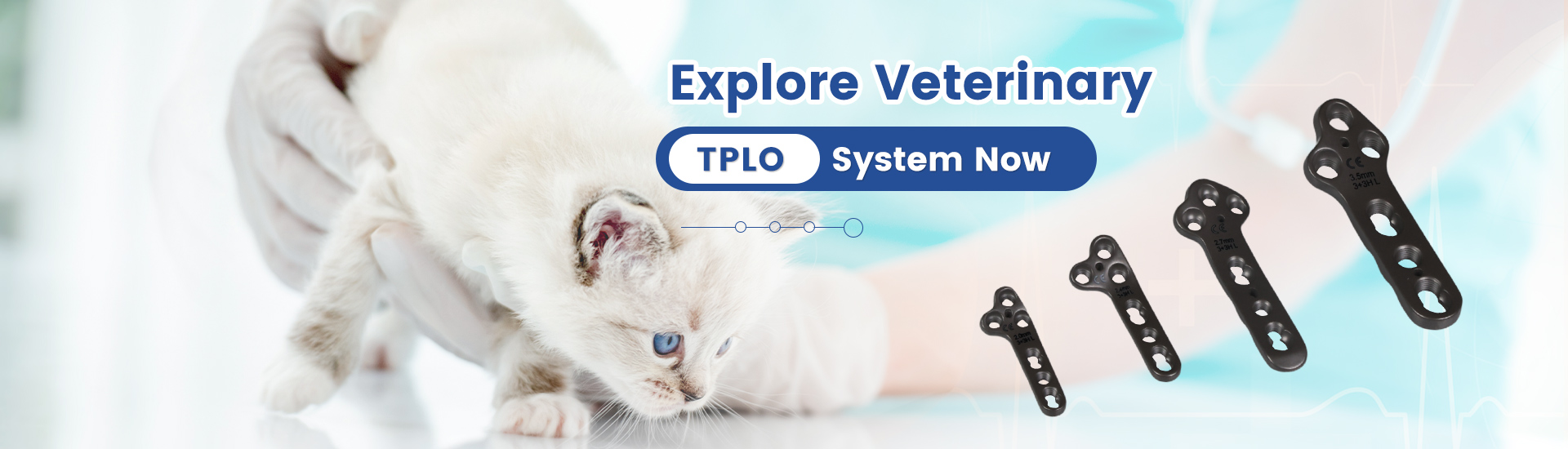 TPLO