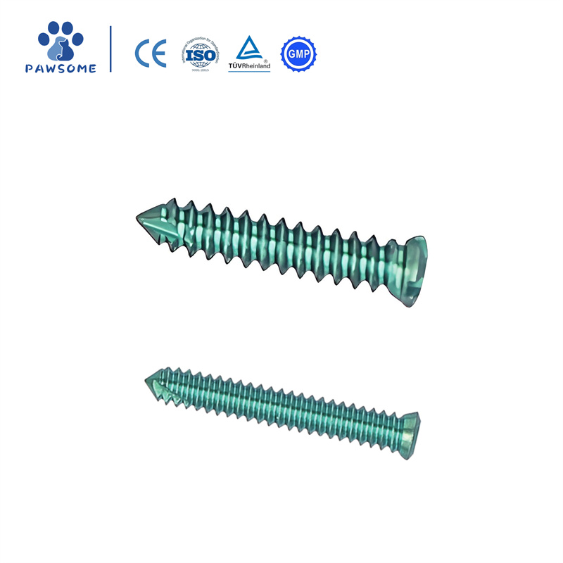 Orthopedic Implants Veterinary Locking Screws02.jpg